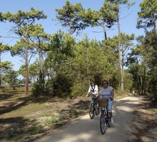 Randonnées vélo au camping en Vendée 3 étoiles Le Clos du Bourg