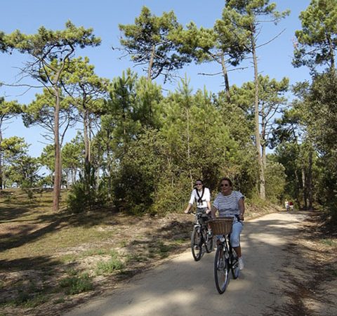 Randonnées vélo au camping en Vendée 3 étoiles Le Clos du Bourg