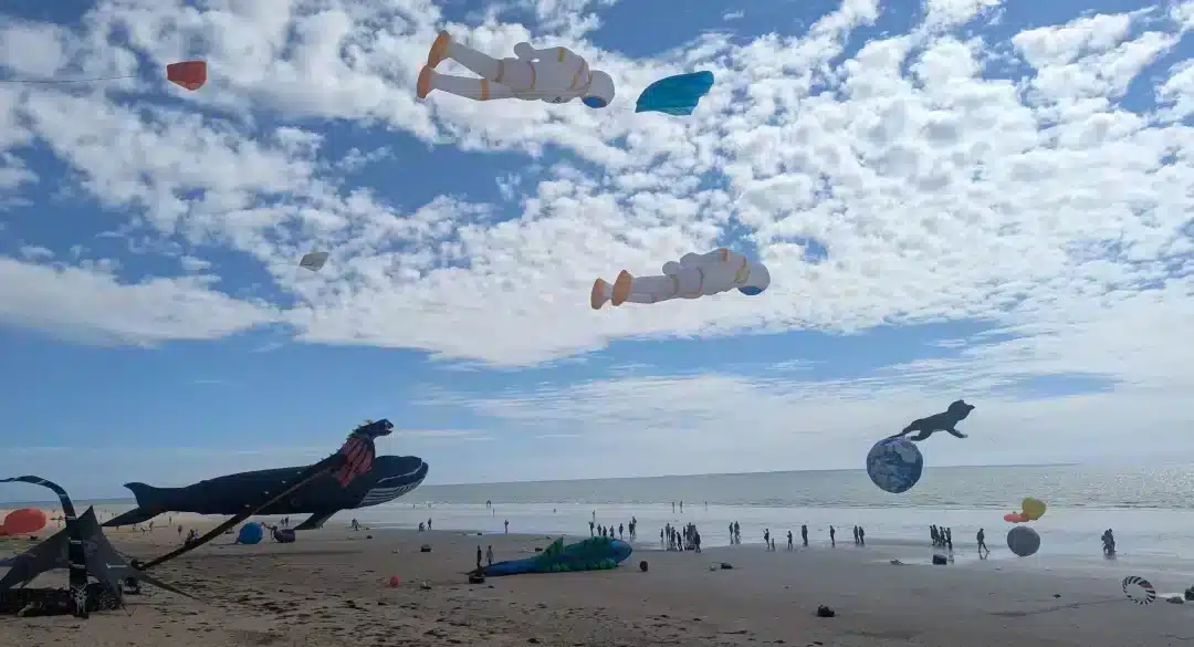 schuifregelaar-afbeelding-0