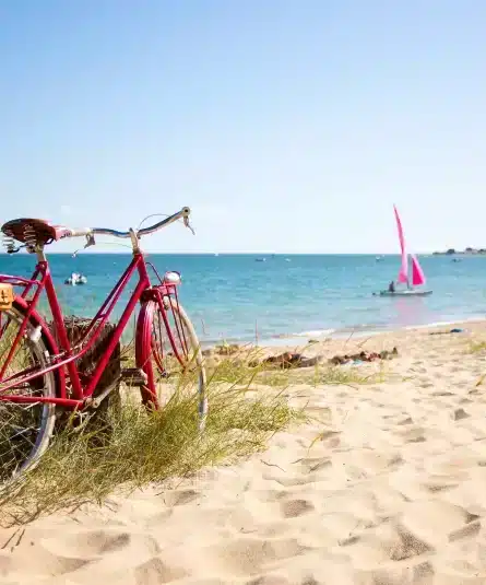 schuifregelaar-afbeelding-2