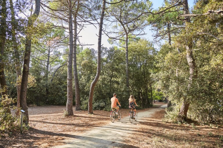 Balade à Vélo dans la Forêt du Pays de Monts en Vendée.
