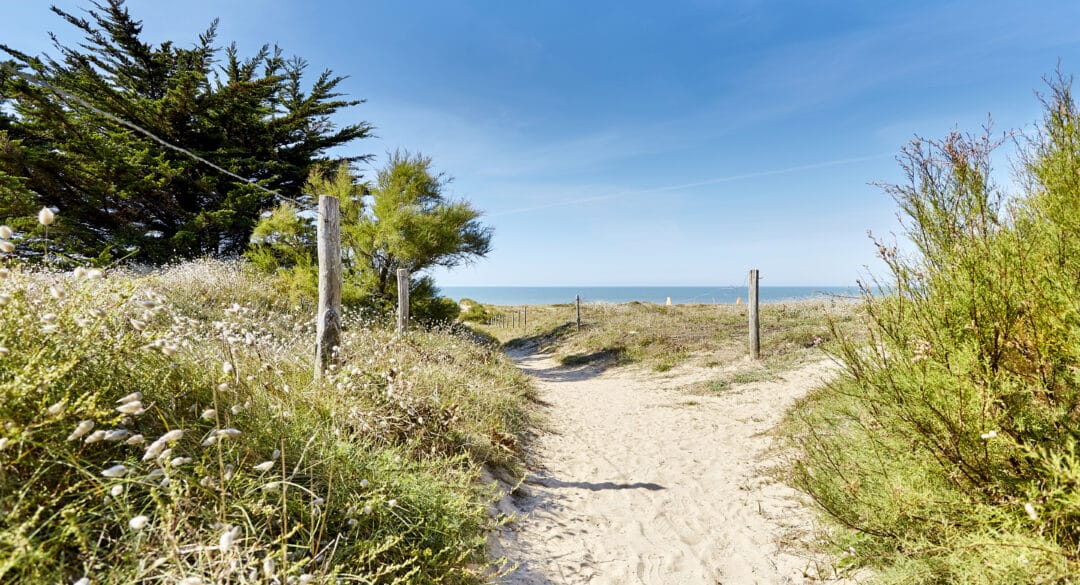 schuifregelaar-afbeelding-0