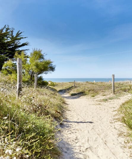 schuifregelaar-afbeelding-0