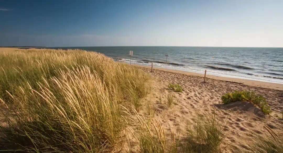 schuifregelaar-afbeelding-0