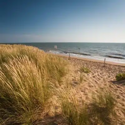 Sanddüne in La Barre-de-Monts in der Vendée.