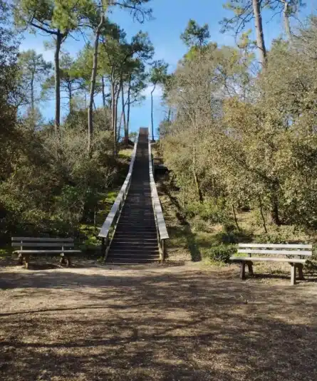 schuifregelaar-afbeelding-0